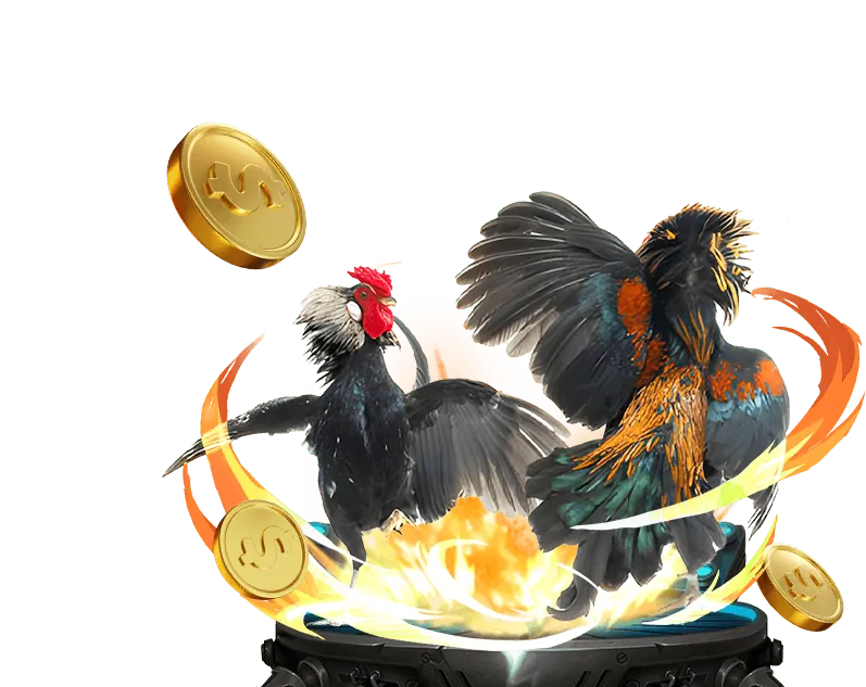 Người chơi Nổ Hũ Win55 thắng Jackpot lớn